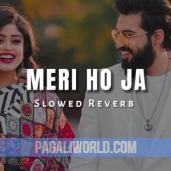 Meri Ho Ja (Slowed Reverb) Poster