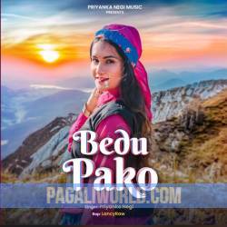 Bedu Pako Baramasa Poster