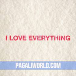 I Love Everything Poster