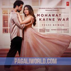 Mohabbat Karne Wale Poster