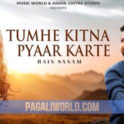 Tumhe Kitna Pyar Karte Hain Sanam Poster