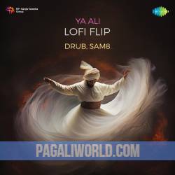 Ya Ali Lofi Flip Poster