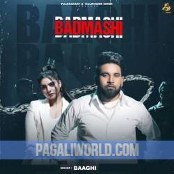 Badmashi Baaghi Poster