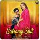 Satrangi Suit Poster