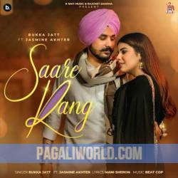 Saare Rang Poster