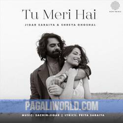 Tu Meri Hai Poster