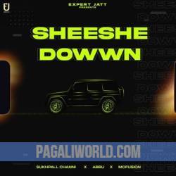 Sheeshe Dowwn Poster