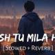 Kaash Tu Mila Hota (Slowed Reverb) Poster