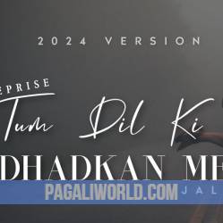 Tum Dil Ki Dhadkan Mein Poster