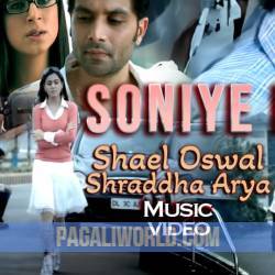 Soniye Hiriye Teri Yaad Aadi Hain Poster