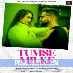 Tumse Milke Dil Ka Cover Poster