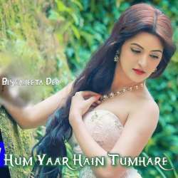 Hum Yaar Hain Tumhare Poster