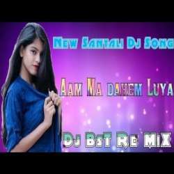 Gulmaol Baliom Baloul Remix Poster