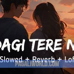 Zindagi Tere Naam (Slowed Reverb) Poster