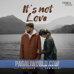 Its Not Love Poster