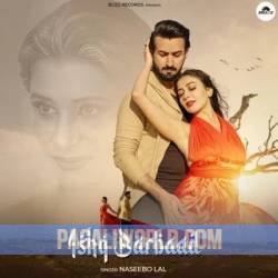 Ishq Barbaad Poster