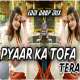 Pyar Ka Tohfa Tera   Dj Sameer Sd Poster