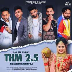 The Haryanvi Mashup 2.5 Poster