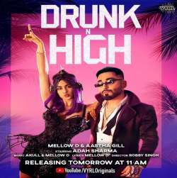 Drunk N High Poster