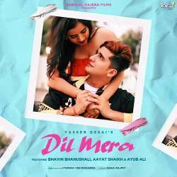 Dil Mera Poster