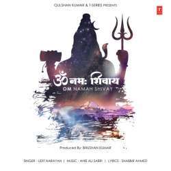 Om Namah Shivay Poster