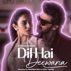 Dil Hai Deewana Poster