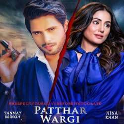 Patthar Wargi Poster