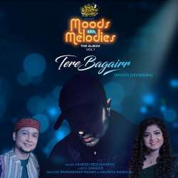 Tere Bagair Poster