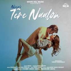 Tere Naalon Poster