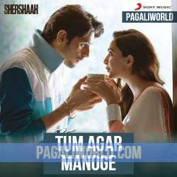 Tum Agar Manoge Poster