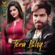 Tera Ishq Poster