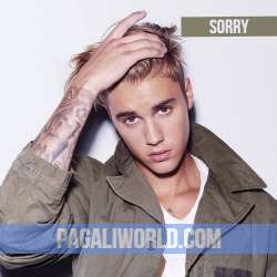 Sorry Poster