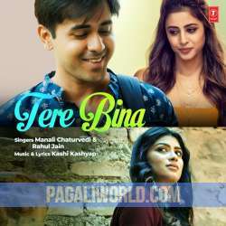 Tere Bina Poster