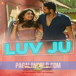 Love Ju Poster