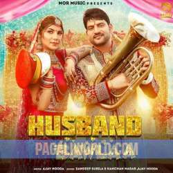 Husband Bawla Poster