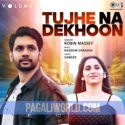 Tujhe Na Dekhoon Poster